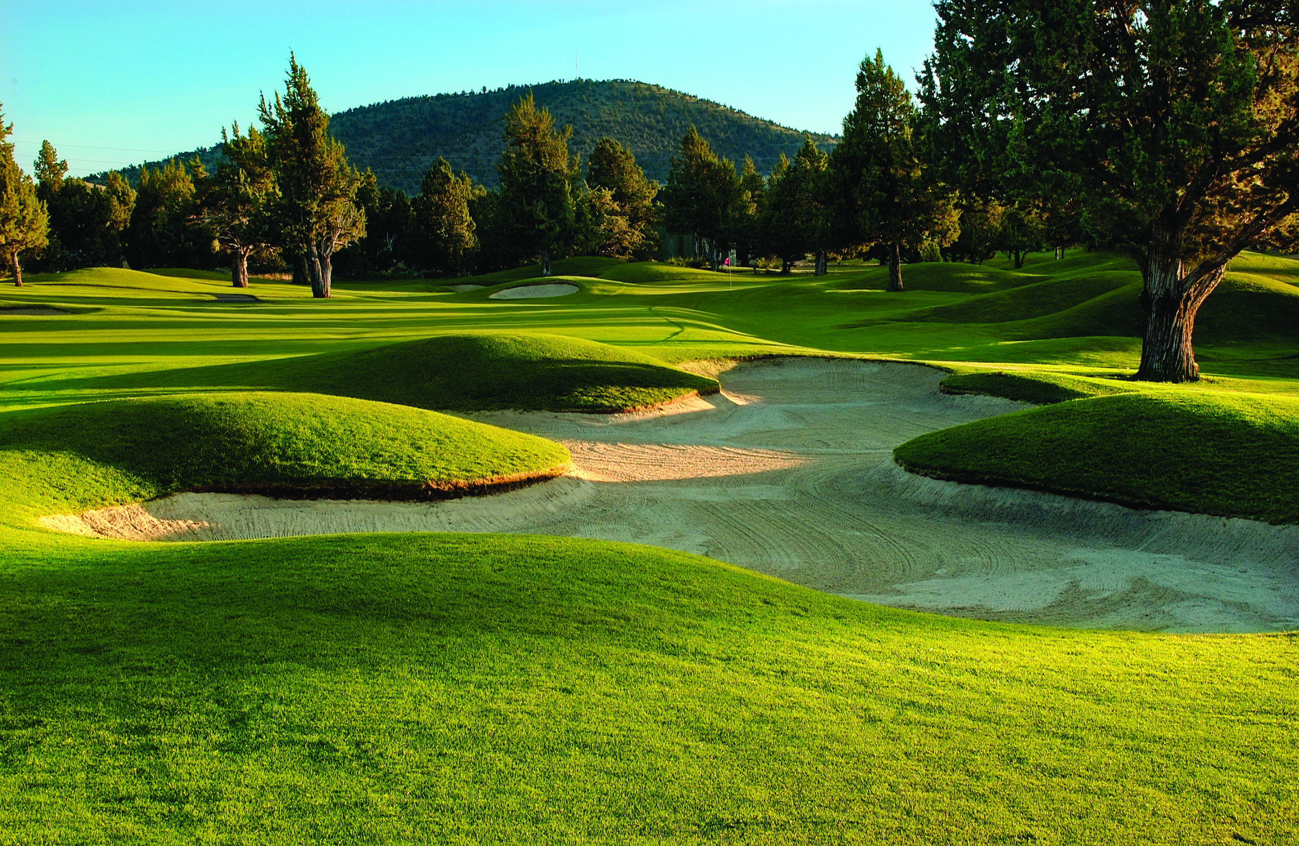 Canyon Rim at Eagle Crest golf course bunker