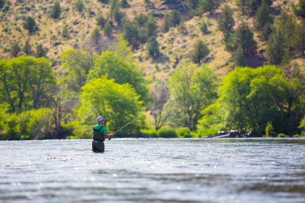 Man fly fishing in the Deschutes River